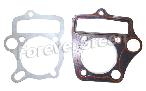 47009 Cylinder Gasket Assy