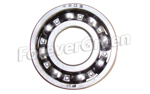 20109 Bearing 6203