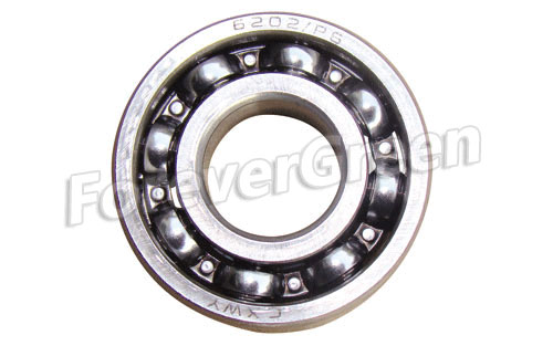 20117 Bearing 6202