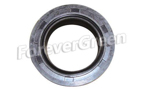 20007 Crankshaft R Oil Seal 20x30x6