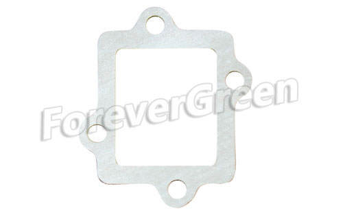 20068 Reed Valve Gasket