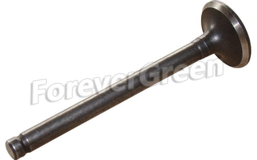 40045 Intake Valve