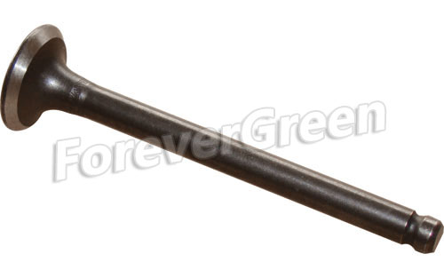 40046 Exhaust Valve