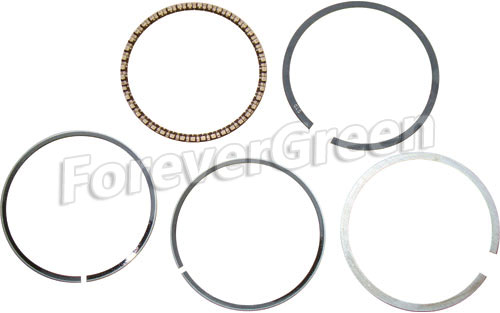 40075 Piston  Ring Assy