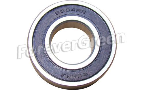 60005 Bearing 6004