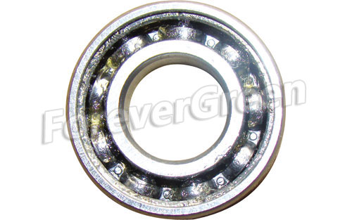 60008 Bearing 6302