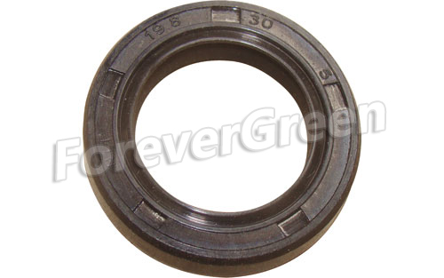 60009 Oil Seal 19.8x30x5