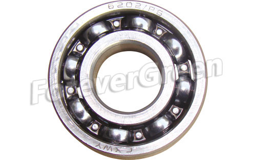 60031 Bearing 6202