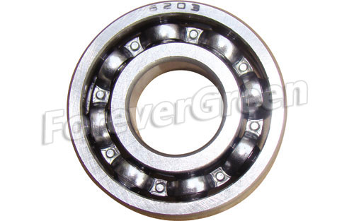 60032 Bearing 6203