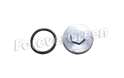 60058A Oil Filter Screen O-Ring Cap 30x3