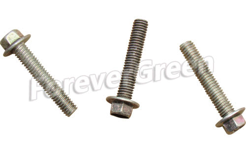 60155 Plange Bolt M6x32