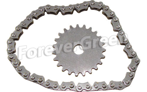 60166A Oil Pump Chain&Sprocket