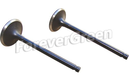 72057A Intake Exhaust Valve