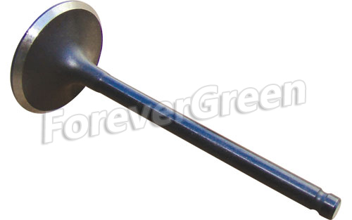 72058 Intake Valve