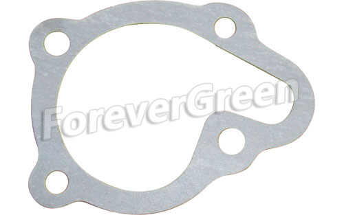 72164 Water Pump Cover Gasket