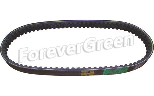 72184 Belt