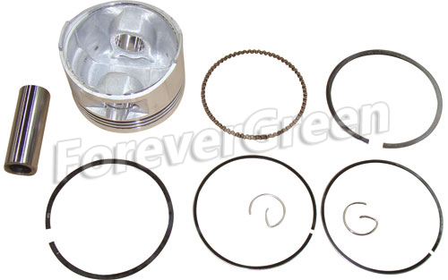 60105A Piston Assy