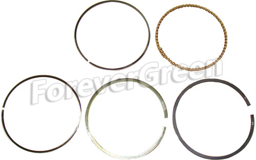 60107A Piston Ring Assy