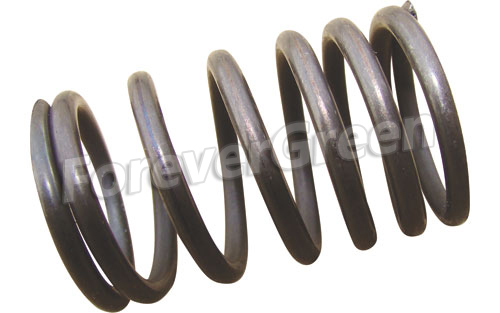 60089 Valve Outer Spring