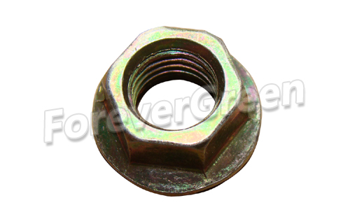 20107 Hex Nut M101.25