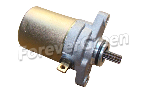 20098A Starter Motor Assy