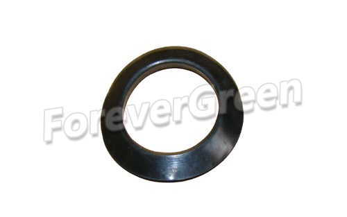 BG052 Gas Tank Seal