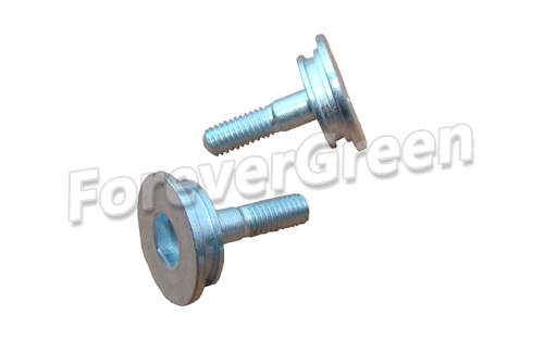 60013 Cam Chain Tensioner Screw